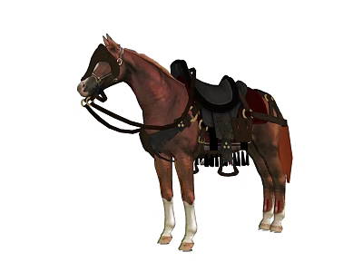 Brown Horse With Black Saddle And Leather Harness Equipment Standing In White Background 3d model