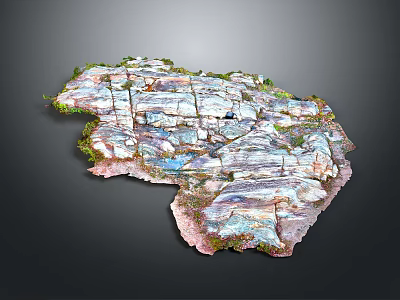 Natural Wood Stone Slabs With Colorful Surface Texture And Green Moss Details 3d model