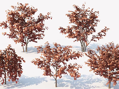 Autumn Tree Modern Tree 3d model