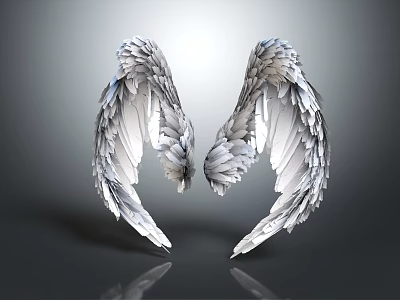 Silver Wing Shaped Wall Decor with Gray Background and Reflection Effect 3d model