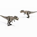 Realistic T Rex Dinosaur Models Standing On White Background With Detailed Texture 3d model