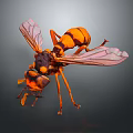 Realistic Wasp With Yellow And Black Striped Body And Transparent Pink Wings
