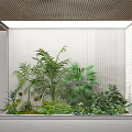 Indoor Bonsai Potted Plants Arrangement In Glass Enclosed Space With Wooden Ceiling And White Wall