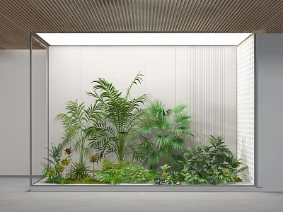 Indoor Bonsai Potted Plants Arrangement In Glass Enclosed Space With Wooden Ceiling And White Wall 3d model