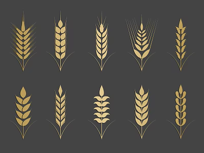 Golden Wheat Ears And Cereal Crop Patterns Displayed On Dark Background Design 3d model