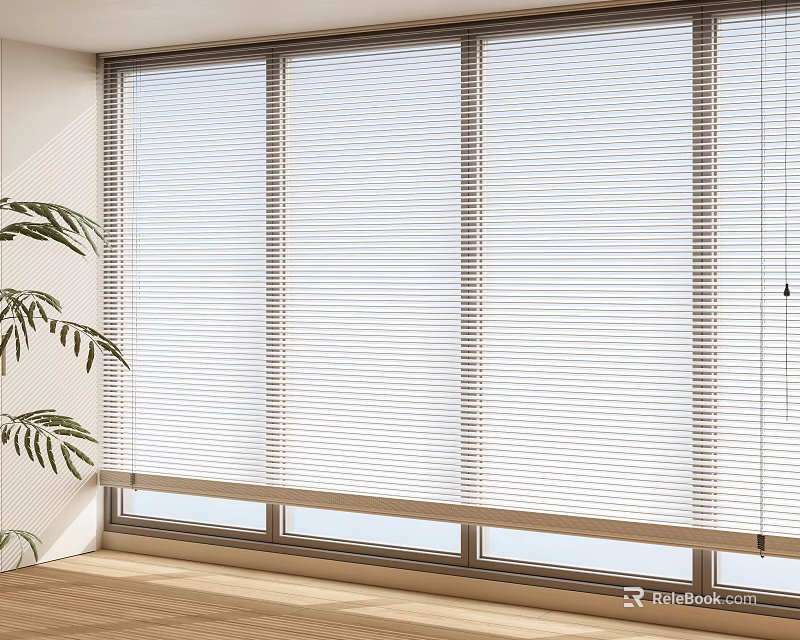 White Venetian Blinds Covering Window With Natural Light Green Plant And Wooden Floor 3d model 