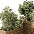 Decorative Wooden Corner Garden Planters With Various Green Plants And Lush Foliage