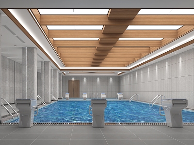 Public swimming pool Modern swimming pool 3d model