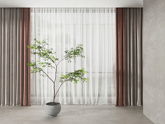 Modern Curtains 3d model