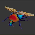Colorful Iridescent Beetle with Shiny Metallic Exoskeleton and Transparent Wings on Dark Reflective Background