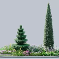 Bonsai Potted Plants Featuring Spiral and Cone Shaped Trees with Colorful Flowers and Low Shrubs