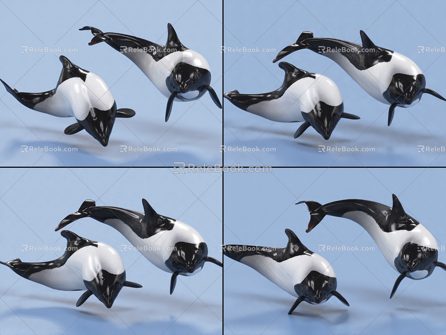 Dolphin with bindings and animations spotted beak head dolphin sea creatures 3d model