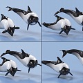 Dolphin with bindings and animations spotted beak head dolphin sea creatures 3d model