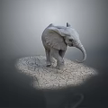 Cute Baby Elephant Standing On Dry Cracked Ground With Gray Background