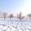Plant Combination of Five Leafless Trees in Snowy Field with Blue Sky and Pink Sunset