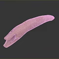 Pink Cracked Surface Equipment Tool With Elongated Shape And Smooth Base 3d model