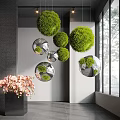 Interior Landscape With Hanging Green Grass Balls Round Mirrors Potted Flowers And Natural Light
