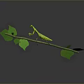 Lifelike Green Praying Mantis Perched On Thin Branch With Fresh Green Leaves