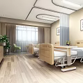 Hospital Outpatient Clinic Featuring Two Beds Mobile Dining Tables Wooden Cabinets TV Plant and Painting