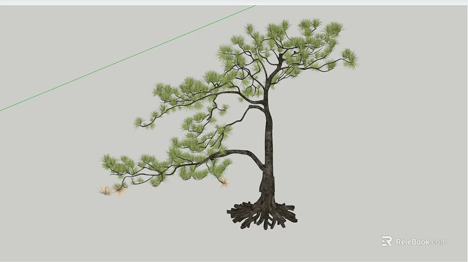 Arbor Tree Featuring Curved Branches Green Needles and Exposed Roots 3d model