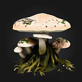 Mushroom With Large Green And White Spotted Cap Small Mushrooms And Green Root Tendrils