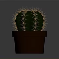 Small Green Round Cactus With Yellow Spines In Brown Ceramic Pot