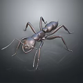 Metallic Ant Sculpture With Detailed Legs And Antennae On Dark Reflective Surface