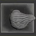 Metal Medical Device Human Head Model For Anatomical Teaching And Training