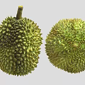Fresh Whole and Cut Open Durian Fruit with Spiky Exterior and Yellow Flesh