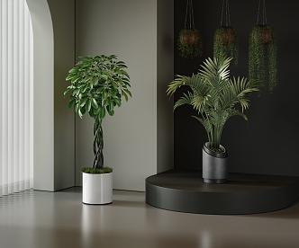 potted plant 3d model