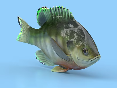 Vibrant Aquatic Fish with Green Black Stripes Shiny Scales and 3D Rendered Look 3d model