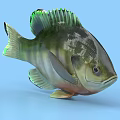 Vibrant Aquatic Fish with Green Black Stripes Shiny Scales and 3D Rendered Look