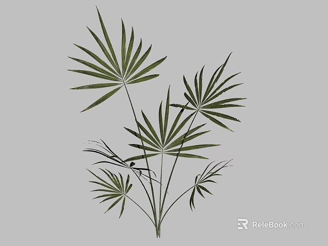 Green Fan Palm Bonsai Potted Plant With Slender Stems And Lush Leaves 3d model 