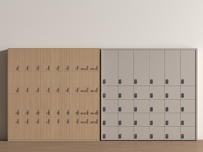 Public Space Locker Storage Cabinet model