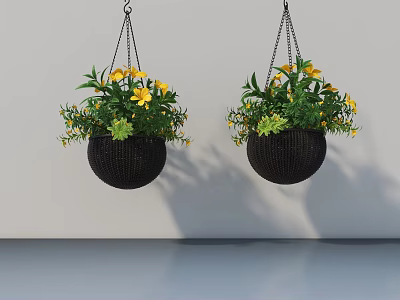 Black Hanging Basket Plants With Yellow Flowers And Green Leaves Hanging On White Wall 3d model