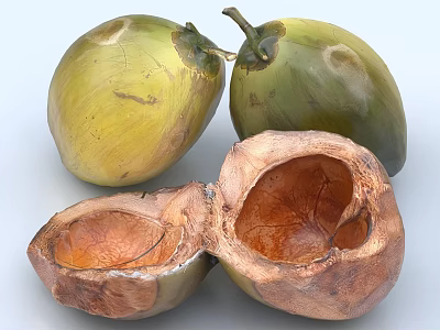 Tropical Fresh Whole And Halved Coconuts Showing Inner Flesh And Brown Shell 3d model