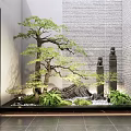 Indoor Landscape Featuring Large Tree Green Plants Stone Decorations And Pebble Floor 3d model