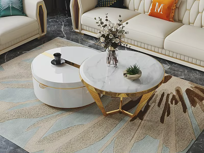 Round Marble Top Coffee Table With Gold Base Flower Vase And Plant On Patterned Rug 3d model
