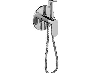 Wall Mounted Chrome Faucet With Flexible Shower Hose For Bathroom Use 3d model