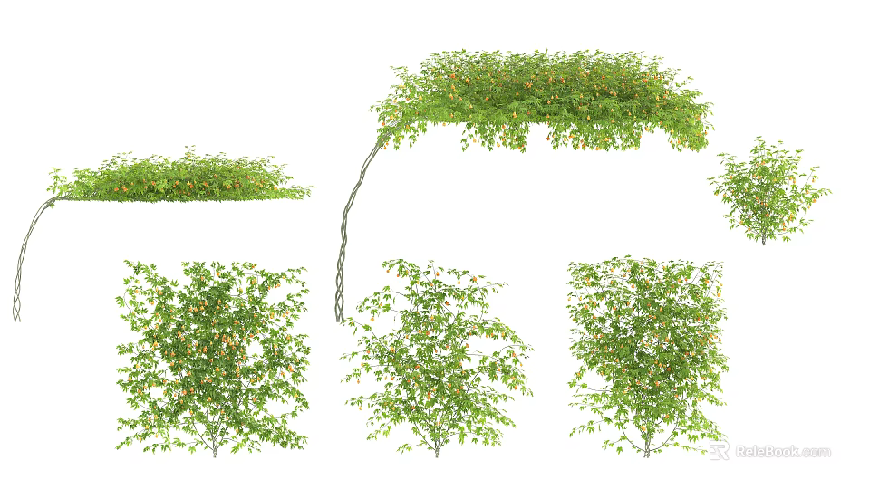 Lush Green Vines Showcasing Various Growth Forms And Natural Foliage For Landscaping 3d model 