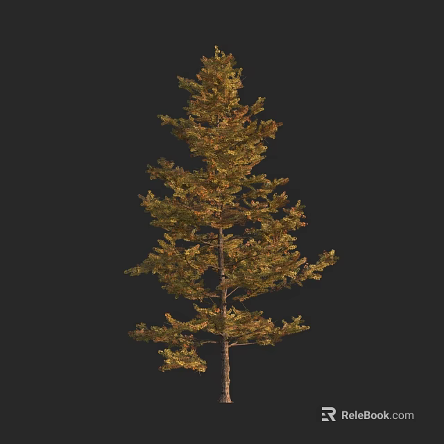 Tall Tree With Green Yellow Foliage And Slender Trunk Against Black Background 3d model 
