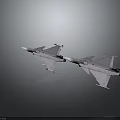 Two Gray Fighter Jets Flying Side by Side Against Gray Background 3d model