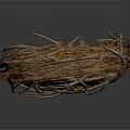 Natural Bird Nest Made Of Twigs With Spotted Eggs Inside Close Up Detail View