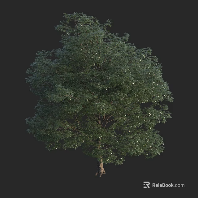 Lush Green Arbor With Dense Foliage And Full Canopy In Natural View 3d model 