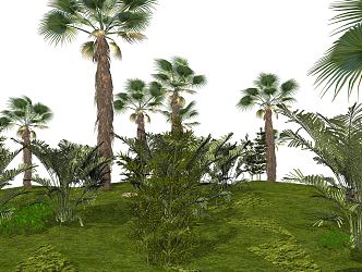 Modern Plant Palm Plant 3d model