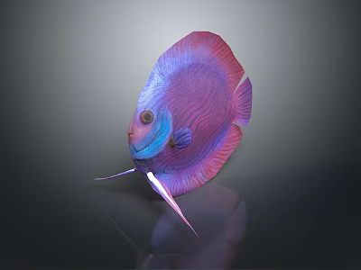 Vibrant Tropical Fish with Pink Purple Blue Striped Body and Shiny Fins on Dark Background 3d model