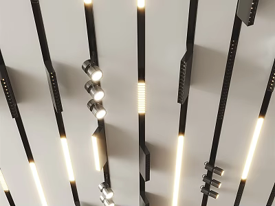 Modern Ceiling Downlights And Spotlights On Black Track With White Lighting 3d model