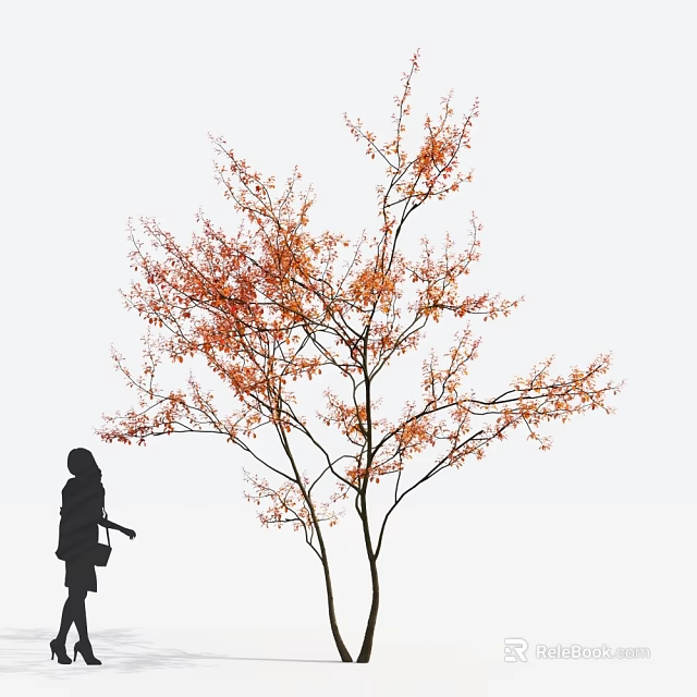 Arbor With Orange Red Leaves And Woman Silhouette On White Background 3d model 