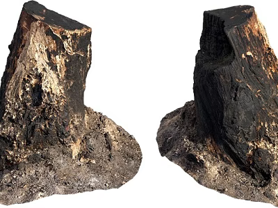 Natural Stone Wood Stumps With Rough Surface Texture And Organic Shape 3d model