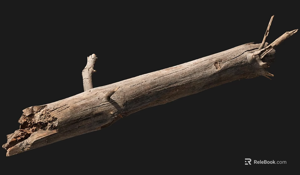 Natural Stone and Wood Log with Rough Texture and Knots on Black Background 3d model 